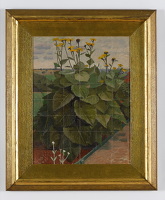 Study for Wild Sunflowers, mid 1950's