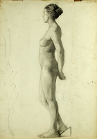 Profile study of nude standing