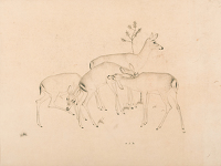 Deer, 1930
