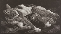 Cat and Kittens, 1936 (2007)