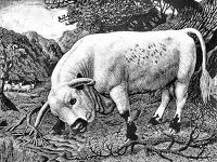 The Chartley Bull, 1939