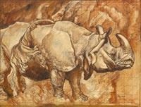 A Powerful Rhinoceros