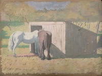 Horses by a shed