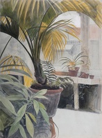 Interior with Plants