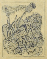 Study of a spring garden with tulips