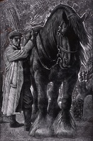 Stallion and Groom, circa 1935