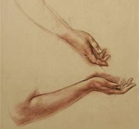 Hand and forearm: two studies