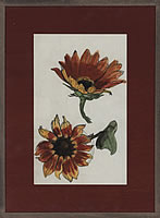 Study of two sunflowers