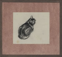 The Artist's cat