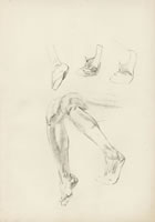 Study of feet