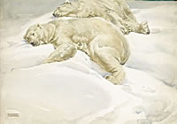 Polar Bears, circa 1950