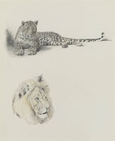 Leopard and head of a lion, c. 1940