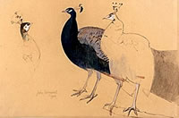 A Peacock and Peahen, mid 1980s