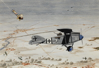 A German Pilot taking Aerial...
