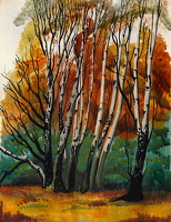 Birch trees - Richmond Park, circa 1930