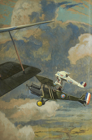 An RE8 with a French Nieuport 27...