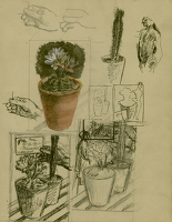 Study of pots, dec. 1938