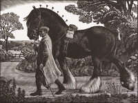 The Shire Stallion, 1934
