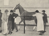 Horse Dealers, 1919