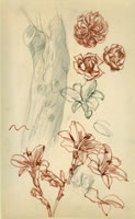 Roses, Lilies and Tree Trunk