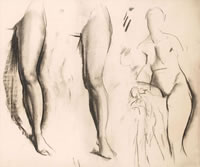 Study of female legs