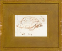 Toby the tortoise, 1917
