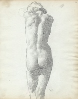 Standing Nude, Rear View, Arms Raised