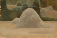 Study of a haystack