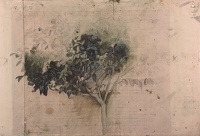 Study of a laurel bush, 1919
