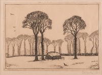 Elm Trees in Essex , 1928