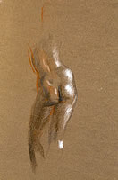 Naked torso, rear view