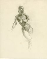 Study of a standing nude