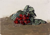 A bunch of radishes, 1992
